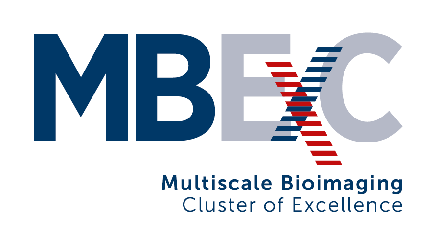 MBExC Multiscale Bioimaging Cluster of Ecellence